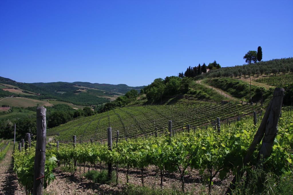 Il Borghetto Tuscan Holidays San Gimignano Zewnętrze zdjęcie
